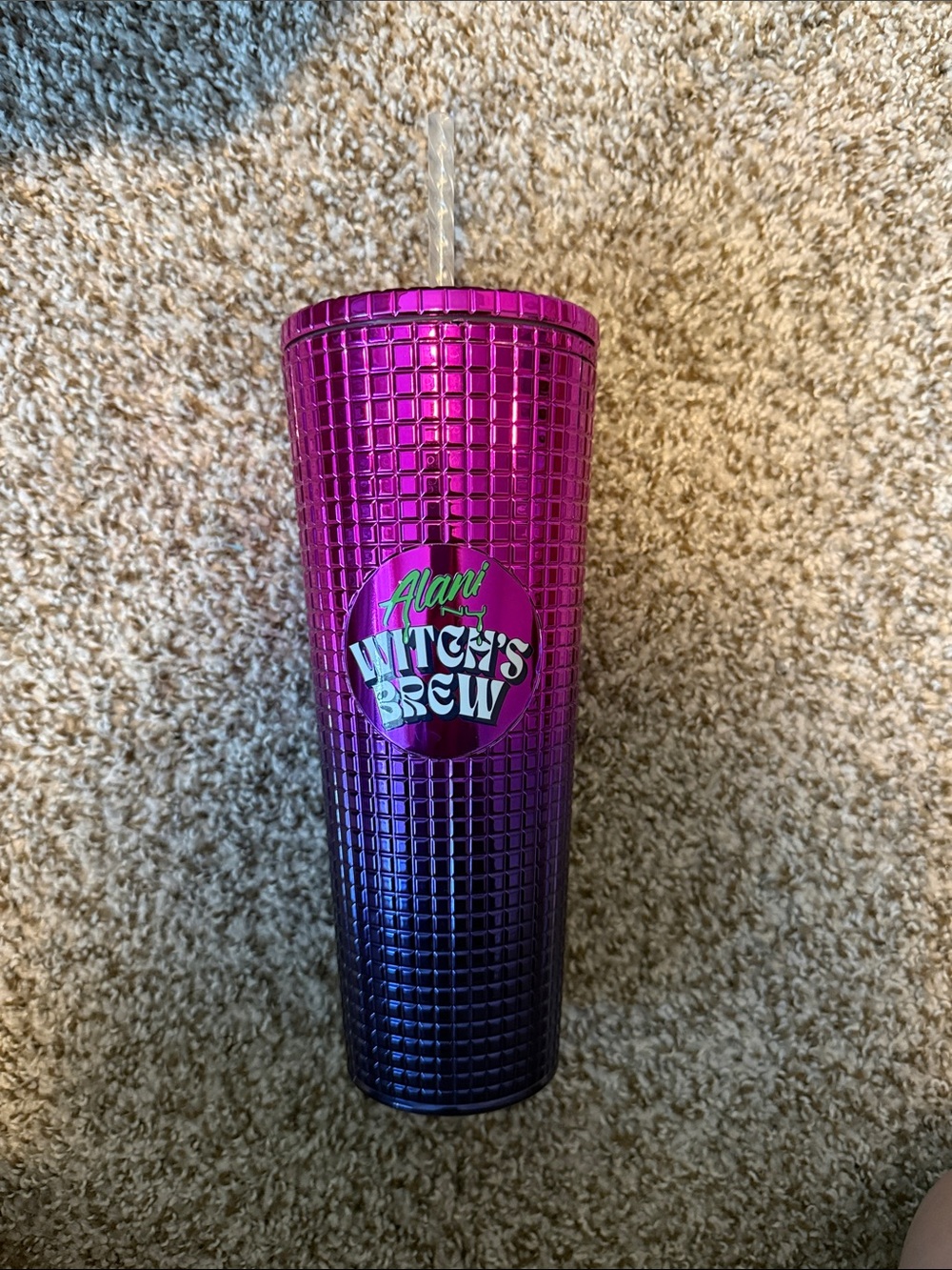 Witch's Brew Hot Pink to Purple Ombre Tumbler